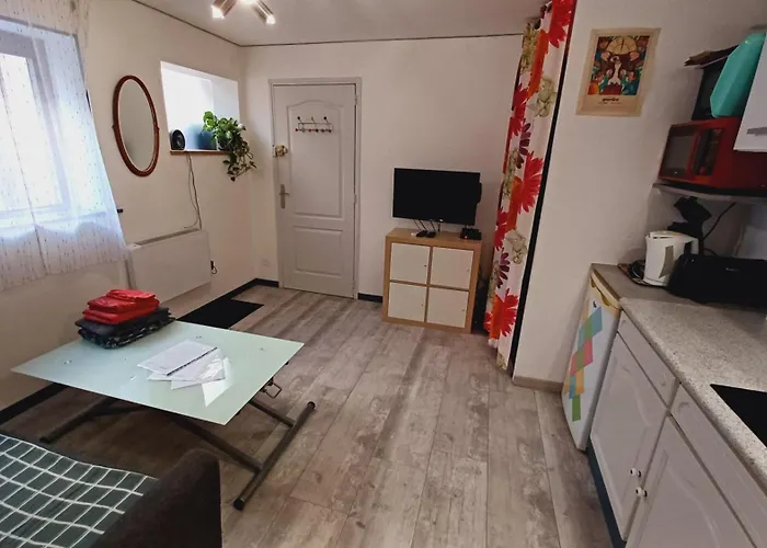 Studio Cosy Tout Confort Gaillac Centre.